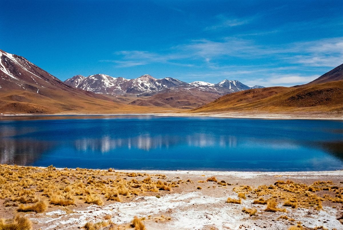 Deep blue Laguna Miscanti ringed by golden altiplano hills and Andean peaks under clear sky