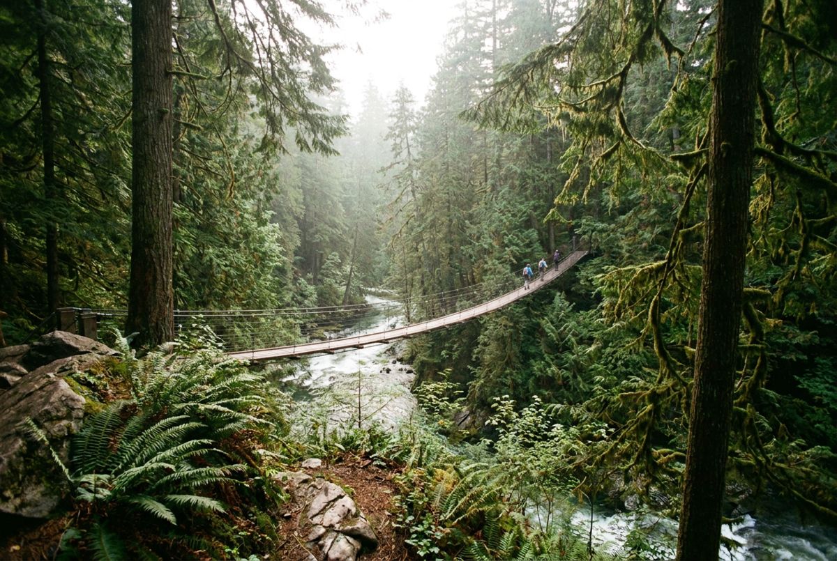 Capilano Suspension Bridge spanning a forested canyon near Vancouver in soft morning light