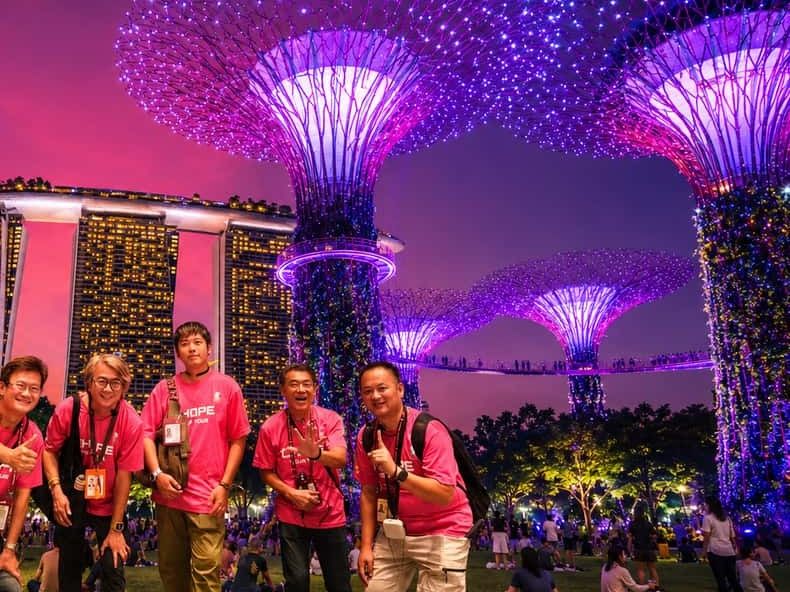 A tour group posing under the illuminated Supertrees at night