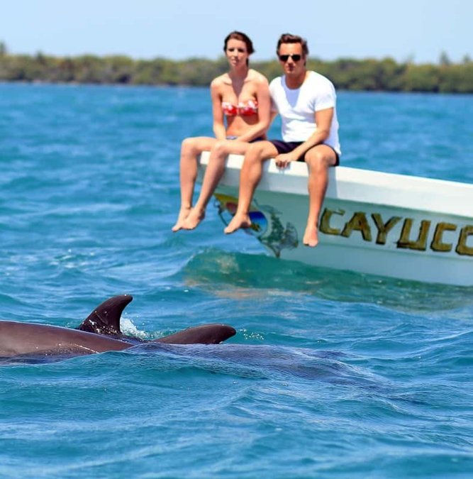 Dolphin surfacing beside a boat in Sian Ka'an