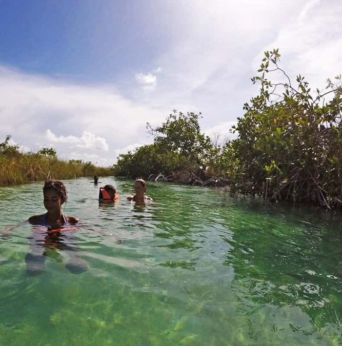 Travelers floating down the mangrove channel at Muyil