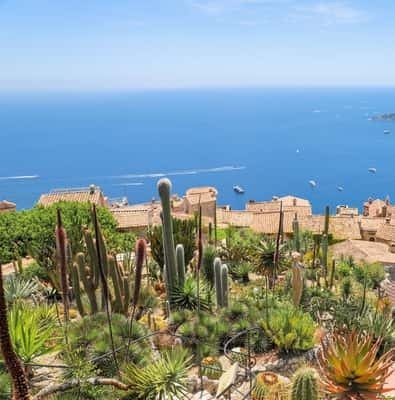 Cactus garden of Eze village above the Mediterranean