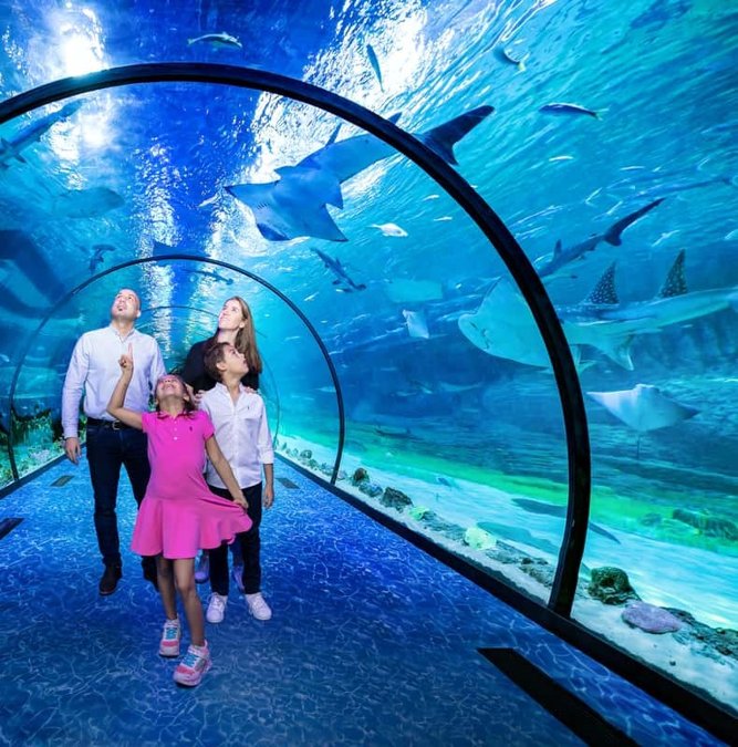 Family walking through the glass tunnel of the National Aquarium