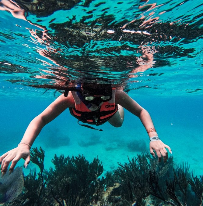 Snorkeler floating over the reef off Tulum