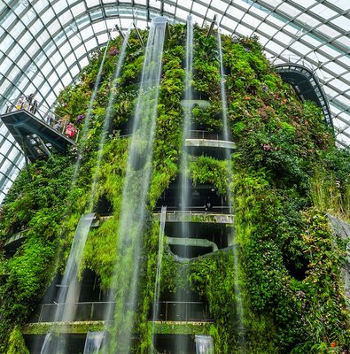Cloud forest waterfall inside Gardens by the Bay, Singapore.