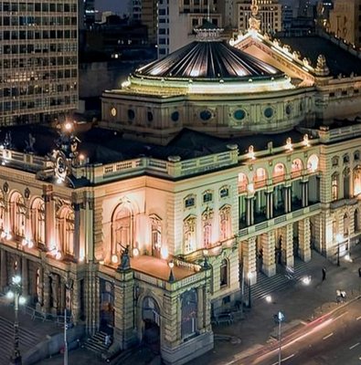 São Paulo Highlights Walking Tour with a Guide