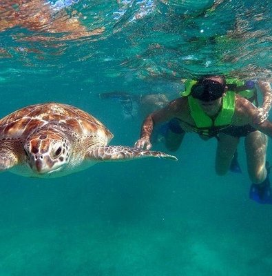 Tulum ruins swim with turtles in Akumal and Cenote