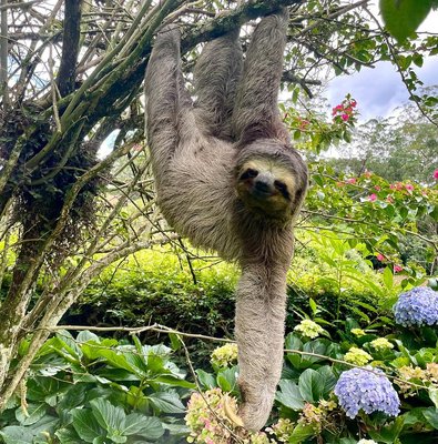 Rio: Tijuca Rainforest Hike, Wildlife, Waterfalls & Caves