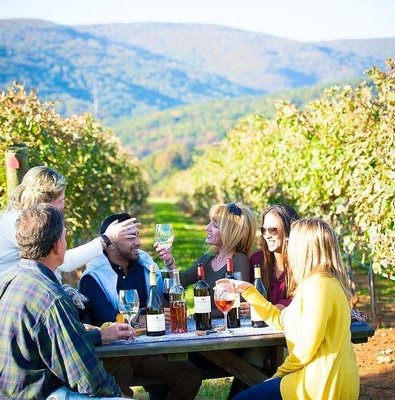 Maipo Valley Wine Region: 4 Wineries, Tastings & Foodie Tour