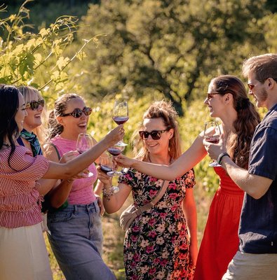 Friends raising glasses of red wine in a Chianti vineyard
