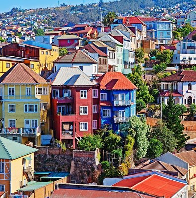Private Tour: Viña del Mar and Valparaíso Tour with Wine Tasting in Casablanca Valley