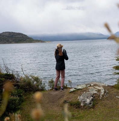 Tierra Del Fuego National Park and Fin del Mundo Train (INCLUDED)