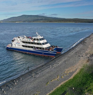 Martillo Island: Boat Trip to the Penguin Colony & Beagle Channel
