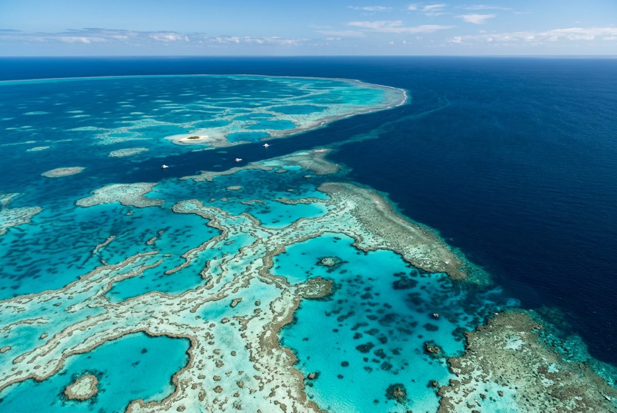 The Great Barrier Reef, Queensland, Australia